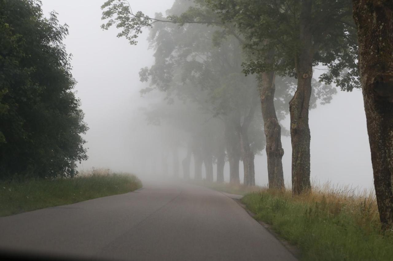 Slowinskie Widoki Domki Flora, Fauna, Noclegi Smoldzinski Las Eksteriør billede