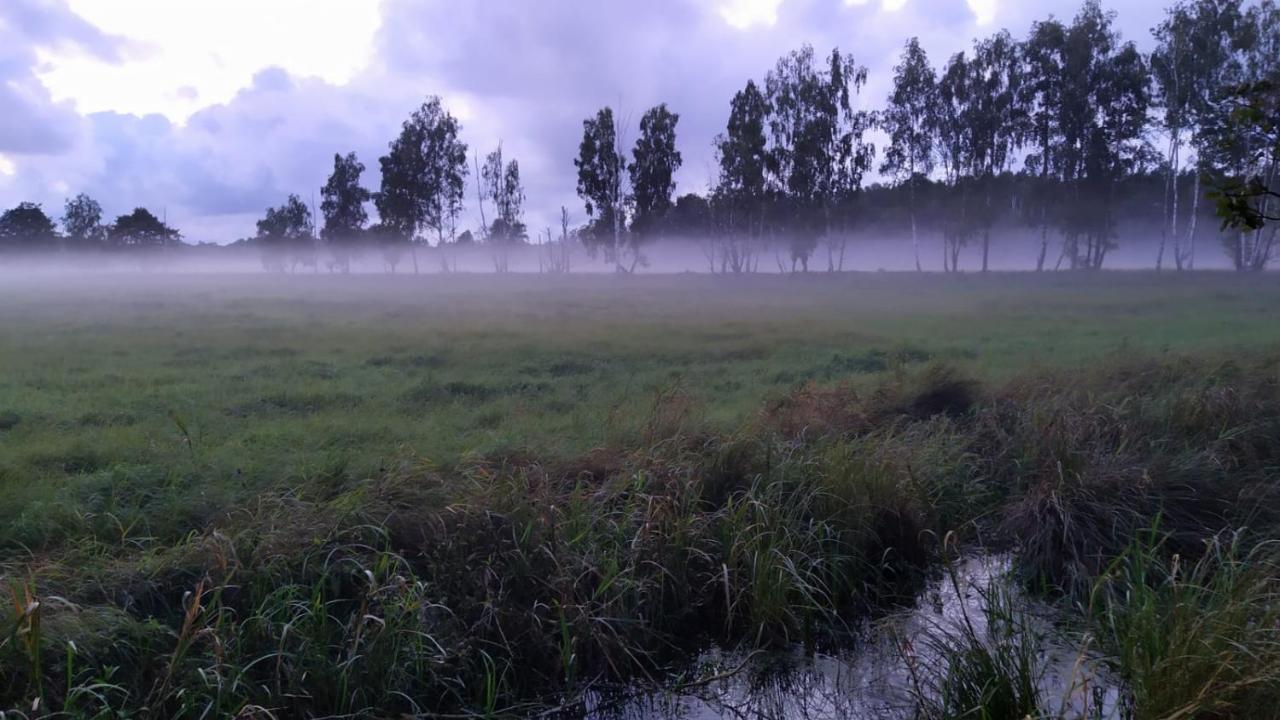 Slowinskie Widoki Domki Flora, Fauna, Noclegi Smoldzinski Las Eksteriør billede