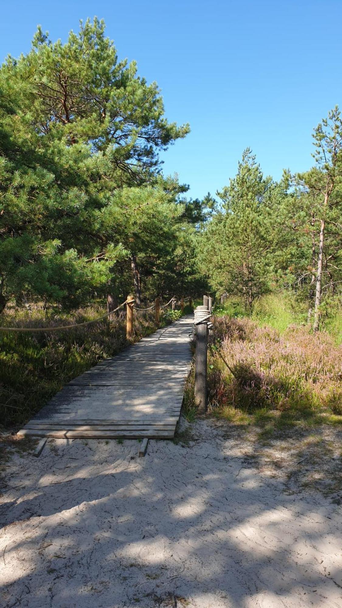 Slowinskie Widoki Domki Flora, Fauna, Noclegi Smoldzinski Las Eksteriør billede