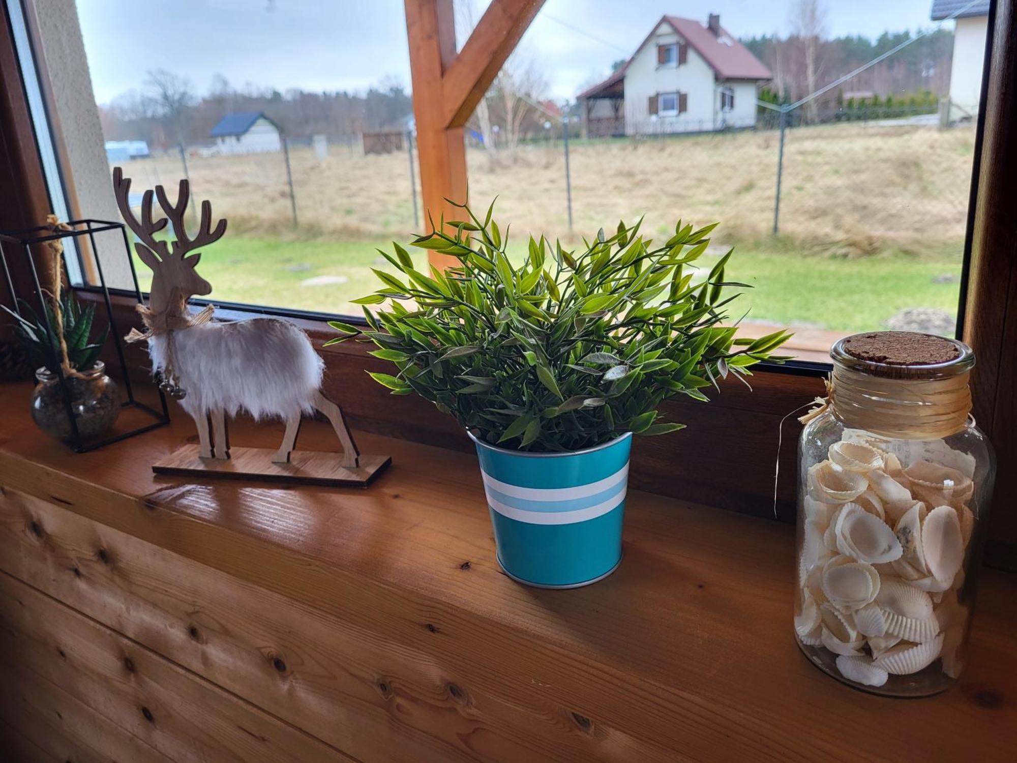 Slowinskie Widoki Domki Flora, Fauna, Noclegi Smoldzinski Las Eksteriør billede